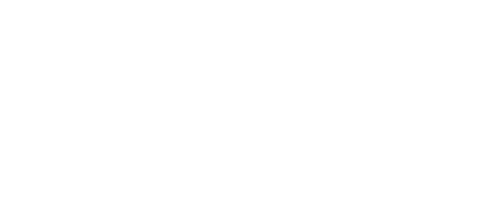 Prasad and Singh Developers Company logo