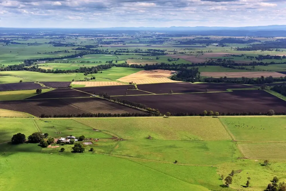 Green fields scenery in Tabulam